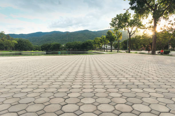 Best Driveway Repair Near Me  in Walls, MS